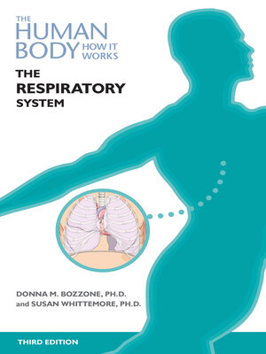 The Respiratory System - ebook